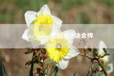 揭阳奥运会39块金牌