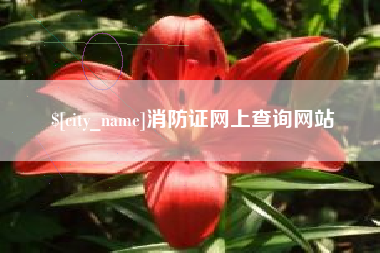 揭阳消防证网上查询网站