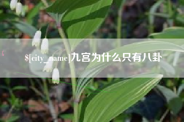揭阳九宫为什么只有八卦