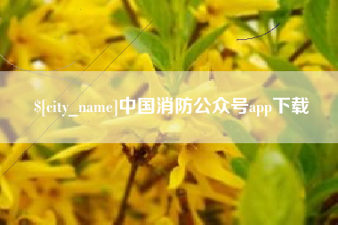 揭阳中国消防公众号app下载