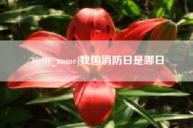 揭阳我国消防日是哪日