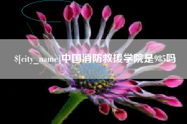 揭阳中国消防救援学院是985吗