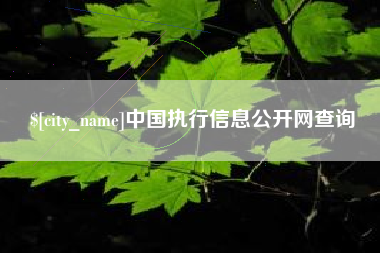 揭阳中国执行信息公开网查询
