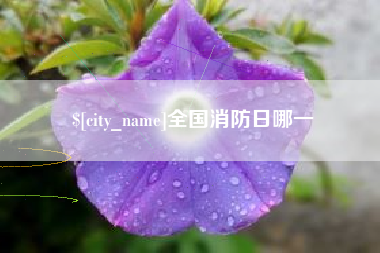 揭阳全国消防日哪一