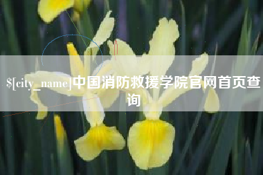 揭阳中国消防救援学院官网首页查询