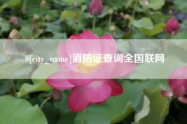 揭阳消防证查询全国联网