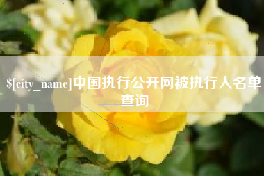 揭阳中国执行公开网被执行人名单查询