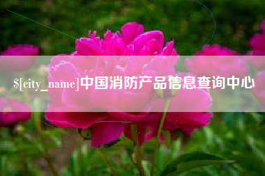揭阳中国消防产品信息查询中心