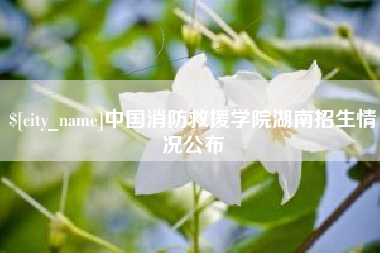 揭阳中国消防救援学院湖南招生情况公布