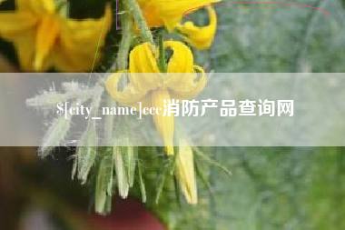 揭阳ccc消防产品查询网