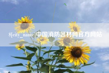 揭阳中国消防器材网官方网站