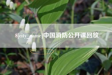 揭阳中国消防公开课回放