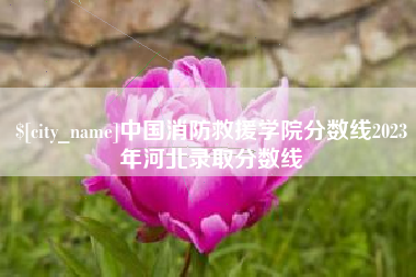揭阳中国消防救援学院分数线2023年河北录取分数线