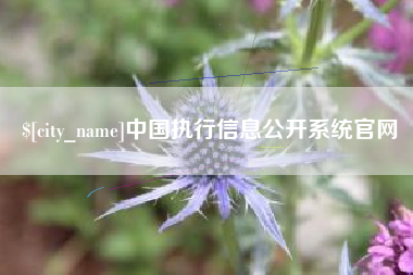 揭阳中国执行信息公开系统官网