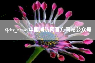 揭阳中国消防网官方网站公众号