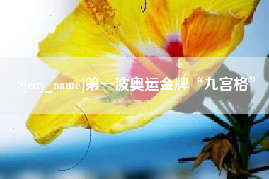 揭阳第一波奥运金牌“九宫格”