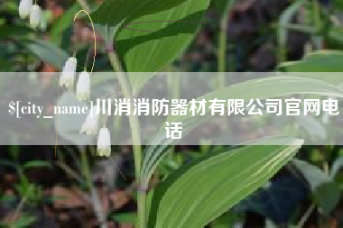 揭阳川消消防器材有限公司官网电话