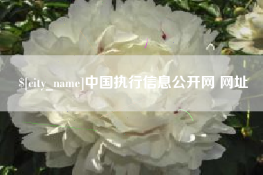 揭阳中国执行信息公开网 网址