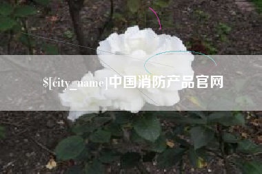 揭阳中国消防产品官网