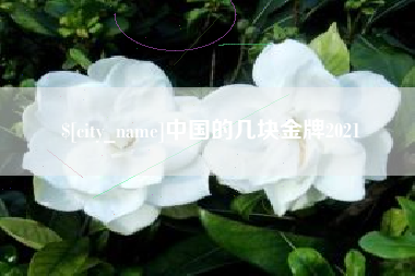 揭阳中国的几块金牌2021