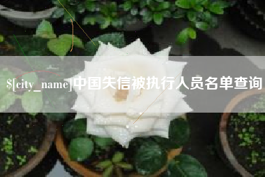 揭阳中国失信被执行人员名单查询