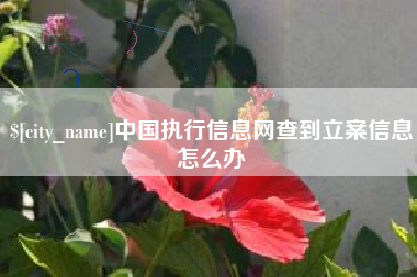 揭阳中国执行信息网查到立案信息怎么办