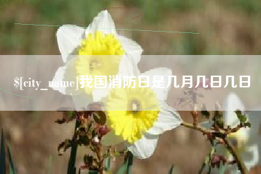 揭阳我国消防日是几月几日几日