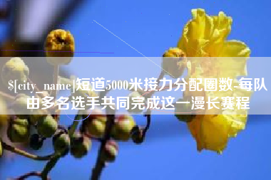 揭阳短道5000米接力分配圈数-每队由多名选手共同完成这一漫长赛程