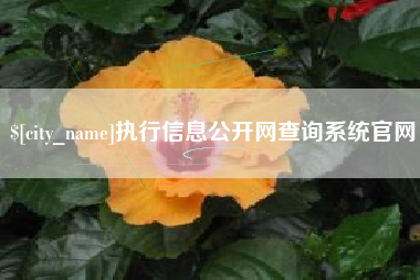 揭阳执行信息公开网查询系统官网