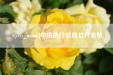 揭阳中国执行信息公开名单