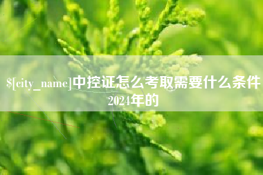 揭阳中控证怎么考取需要什么条件2024年的
