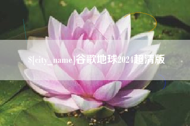 揭阳谷歌地球2024超清版