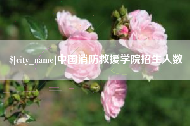 揭阳中国消防救援学院招生人数