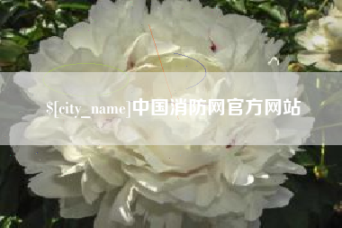 揭阳中国消防网官方网站