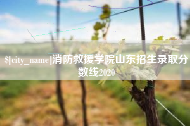 揭阳消防救援学院山东招生录取分数线2020