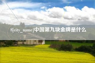 揭阳中国第九块金牌是什么