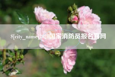 揭阳2021国家消防员报名官网