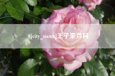 揭阳王子豪百科