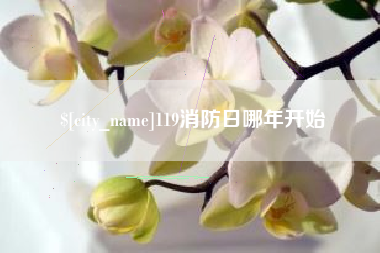 揭阳119消防日哪年开始