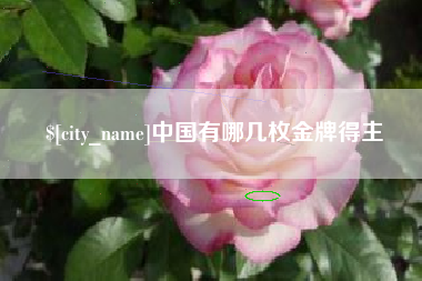 揭阳中国有哪几枚金牌得主