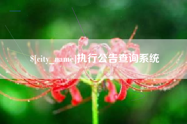 揭阳执行公告查询系统