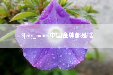 揭阳中国金牌都是啥