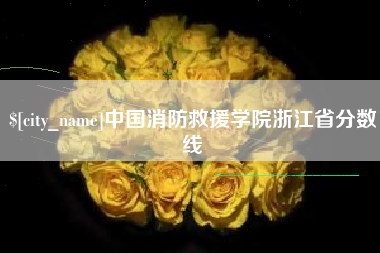 揭阳中国消防救援学院浙江省分数线