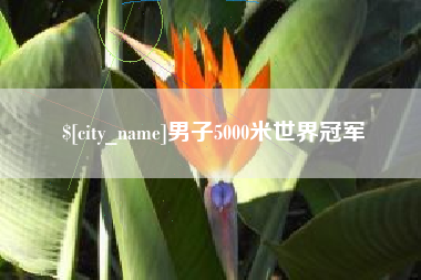 揭阳男子5000米世界冠军