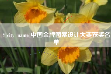揭阳中国金牌图案设计大赛获奖名单