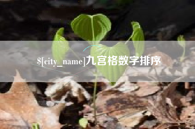 揭阳九宫格数字排序