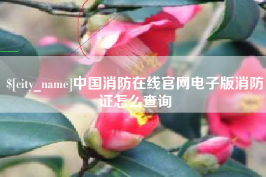揭阳中国消防在线官网电子版消防证怎么查询