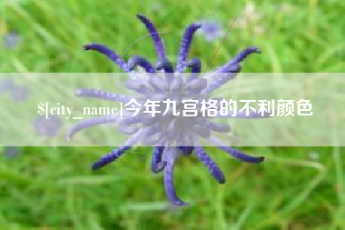 揭阳今年九宫格的不利颜色