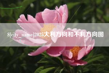 揭阳2025大利方向和不利方向图