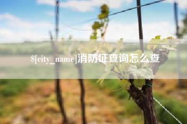 揭阳消防证查询怎么查